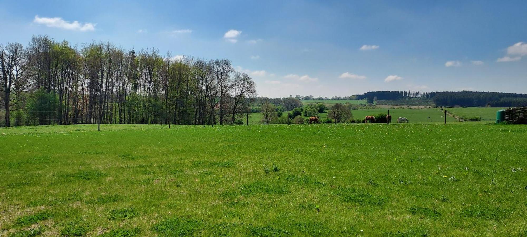 Maison Belle Vue Gouvy Dış mekan fotoğraf